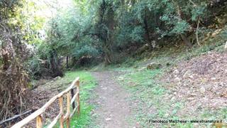 stello marchesa di Cassibile-10-02-2015 19-56-42